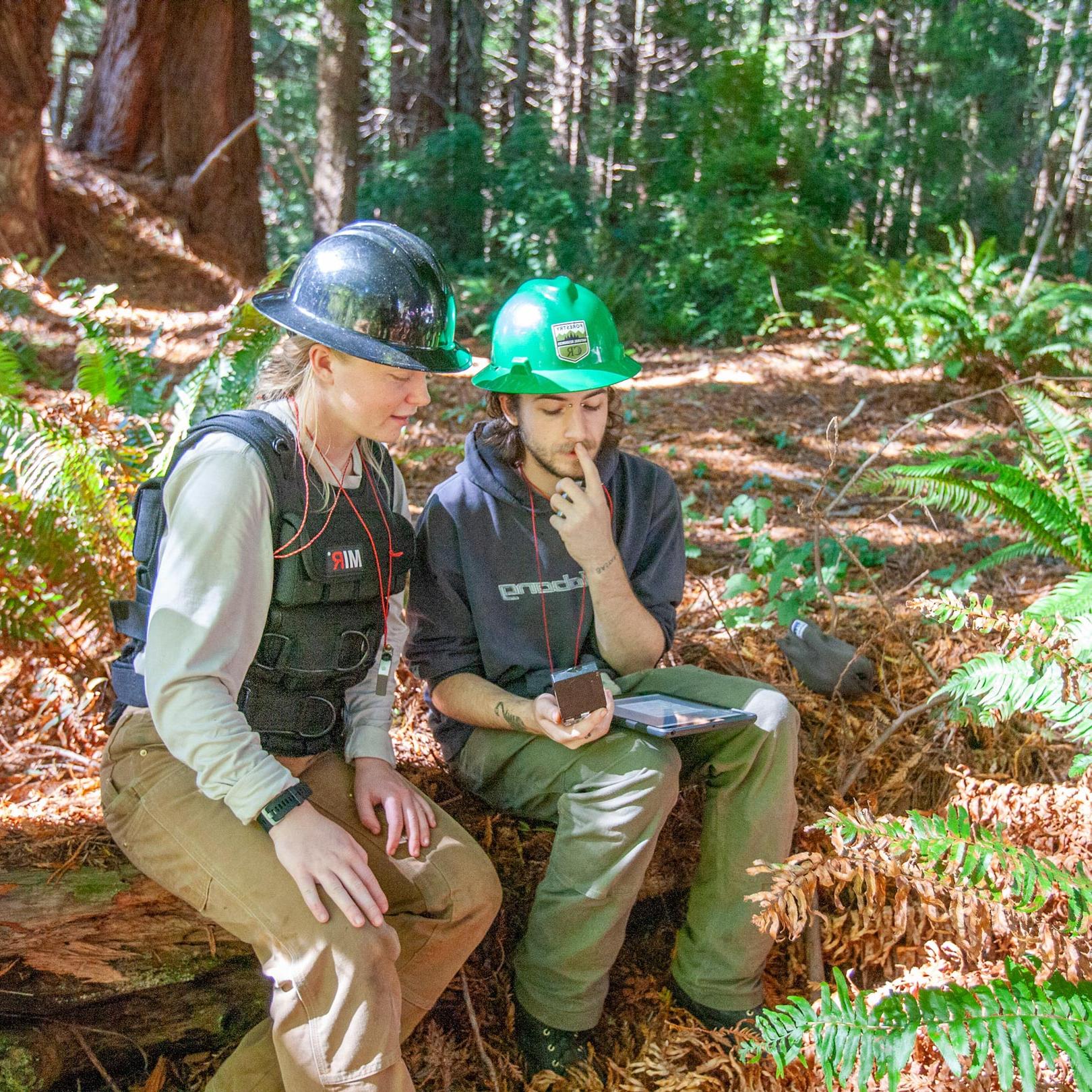 Forestry students in the forest